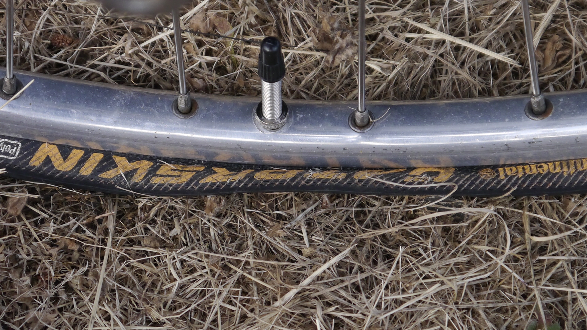Bicycle Flat Repair How to Do it Yourself Greg Dickerson