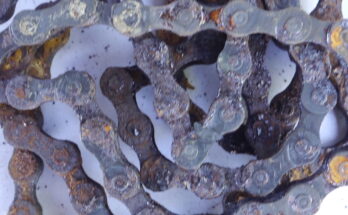 This bicycle chain is too rusty to be saved.