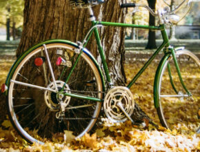 Schwinn bike photo courtesy of