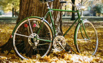 Schwinn bike photo courtesy of