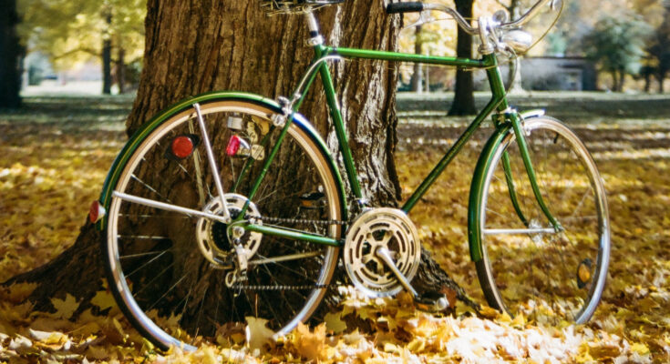 Schwinn bike photo courtesy of